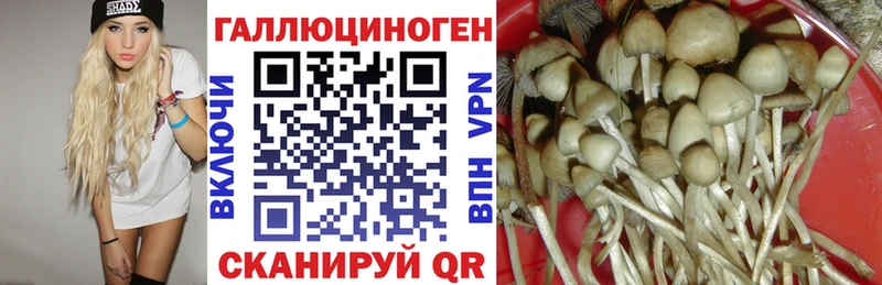 Галлюциногенные грибы Cubensis  Кизел 
