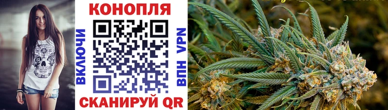 Конопля SATIVA & INDICA  Кизел 